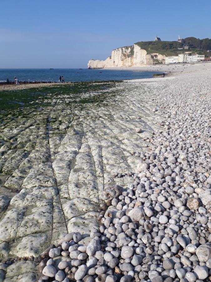 "L'Aiguille Creuse" - Tres Lumineux A 50M De La Mer - 40M2 - 6Max Étretat Eksteriør billede